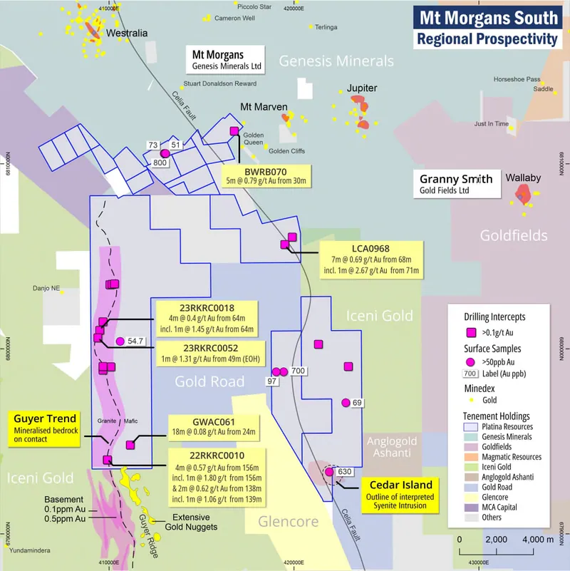 Mt Morgans South Project showing mineralised trends interpreted from historical exploration, Platina’s near-term exploration target areas and the tenement hold…