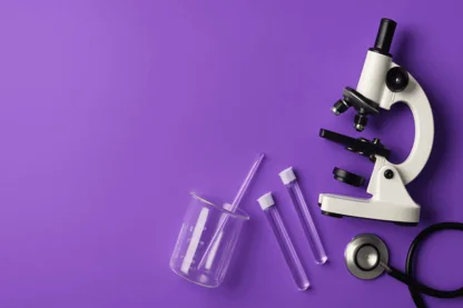 Previous Article Image