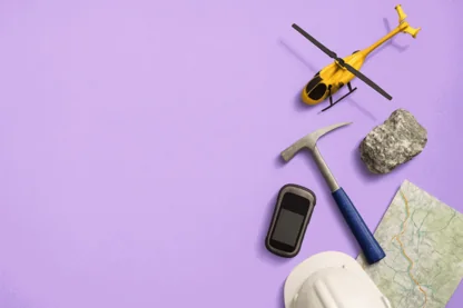 Previous Article Image