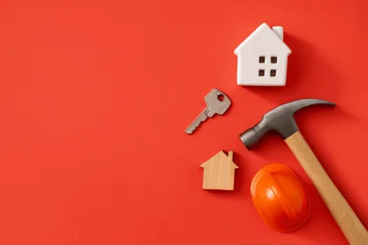 Previous Article Image