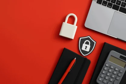 Previous Article Image