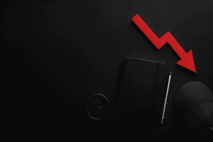 Previous Article Image