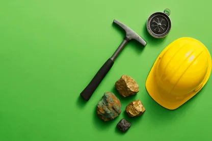 Previous Article Image