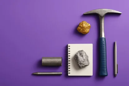 Previous Article Image