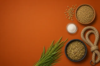 Terragen Lands First Major Supply Deal with Ravensworth Feedlot and Launches $2.8m Cattle Trial