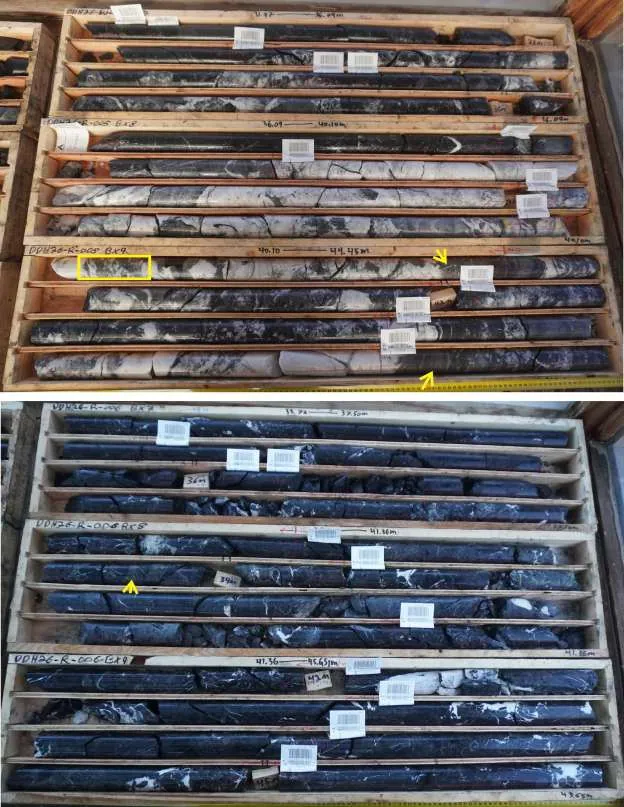 Core trays (wet) from DDH26-PR-005 (31.97–44.45m, top) and DDH26-PR-006 (33.72–45.65m, bottom), Pad 2, showing white barite–quartz with sphalerite–galena