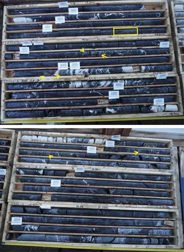 (continued): Core trays (wet) from DDH26-PR-006 (45.65–58.42m, top; 58.42–71.07m, bottom), Pad 2