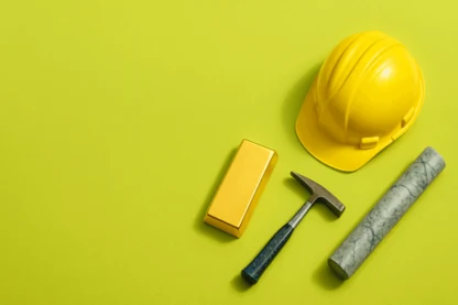 Previous Article Image