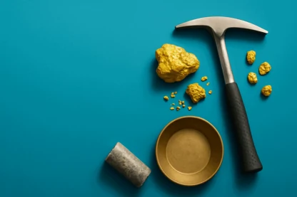 Previous Article Image