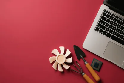 Previous Article Image