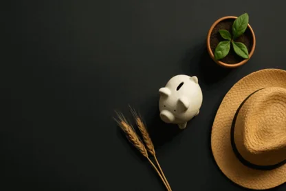 Elders Limited Confirms 18c Dividend with DRP Discount Ahead of Payment