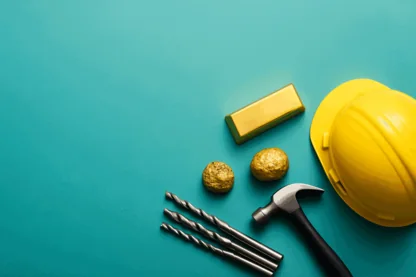 Previous Article Image