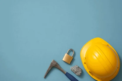 Previous Article Image