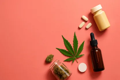 Previous Article Image