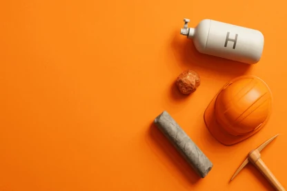 Previous Article Image