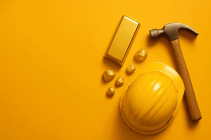 Previous Article Image