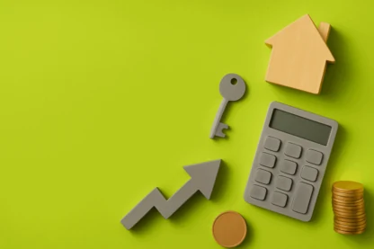 Previous Article Image