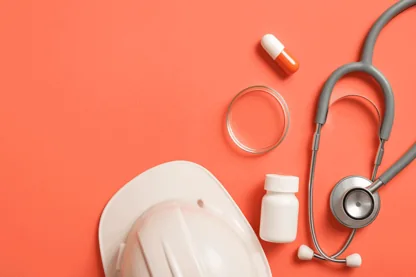 Previous Article Image