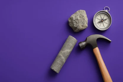 Previous Article Image