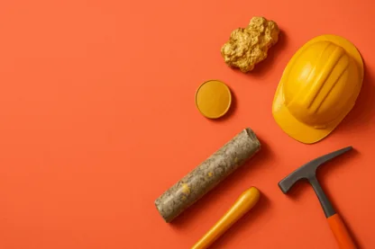 Previous Article Image