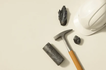 Previous Article Image