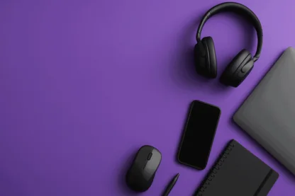 Previous Article Image