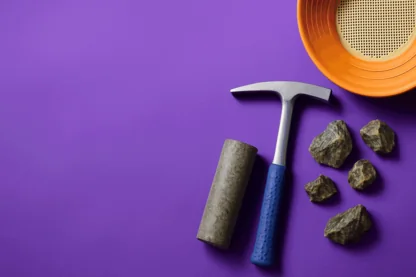 Previous Article Image