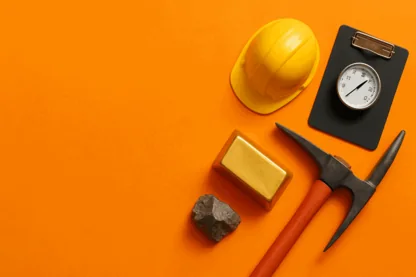 Previous Article Image