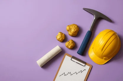 Previous Article Image