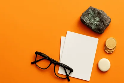 Previous Article Image