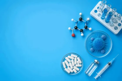 Previous Article Image