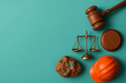 Previous Article Image