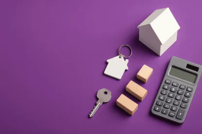 Previous Article Image