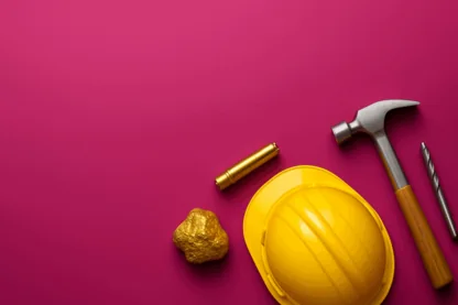 Previous Article Image