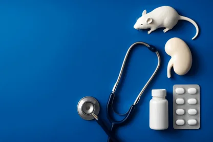 Previous Article Image