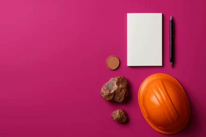 Previous Article Image