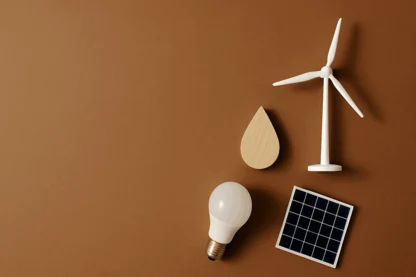 Previous Article Image