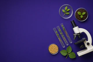 Bio-Gene Completes $3.275 Million Placement and Issues Nearly 70 Million Options