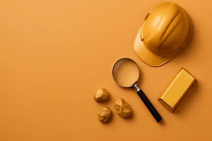 Previous Article Image