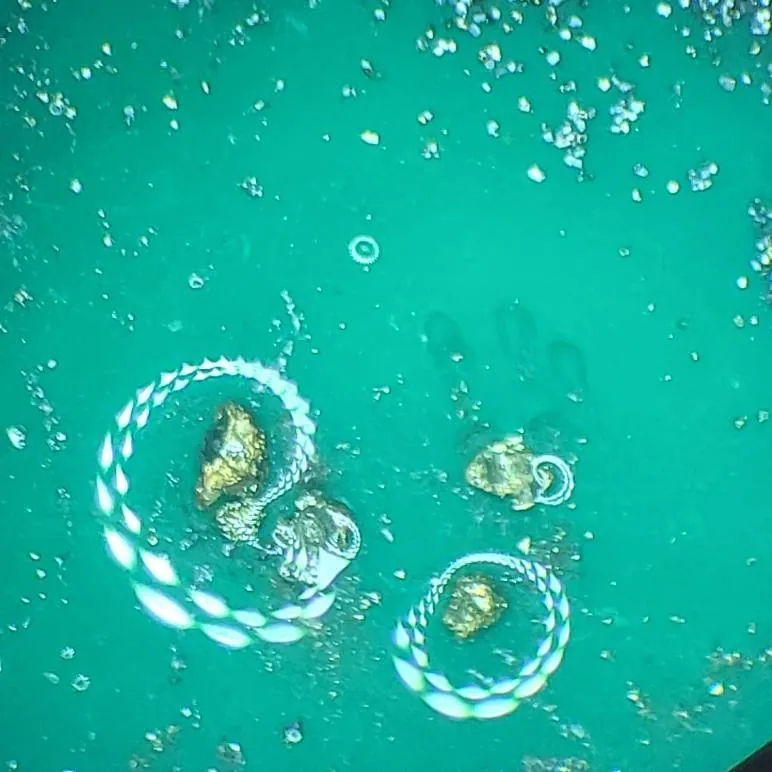 Pan concentrate sample (39-40m depth from drill hole 26NGRC004) reveals multiple visible gold grains up to ~0.5mm