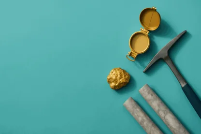 Previous Article Image