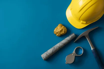 Previous Article Image