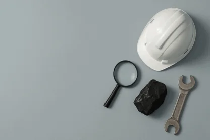 Previous Article Image