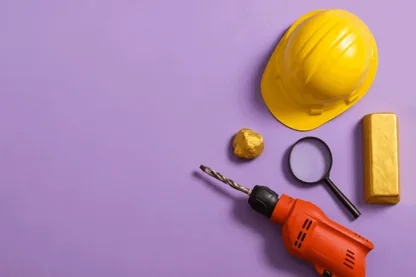 Previous Article Image