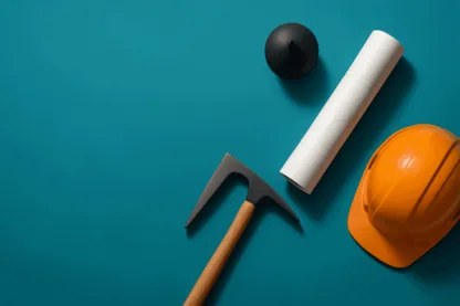 Previous Article Image