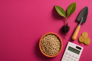 Minbos Secures $3.36M Placement, Clears Path for Angola Phosphate Project