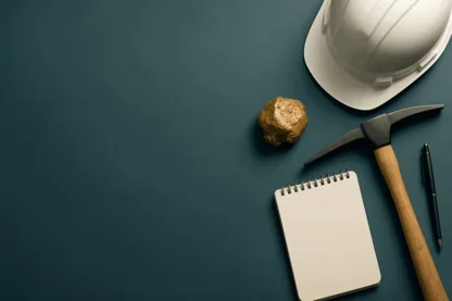 Previous Article Image