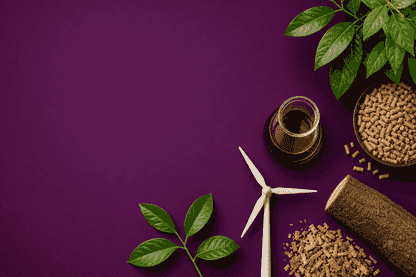 Delorean Raises $750K in Share Purchase Plan to Support Bioenergy Growth