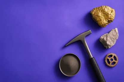 Previous Article Image