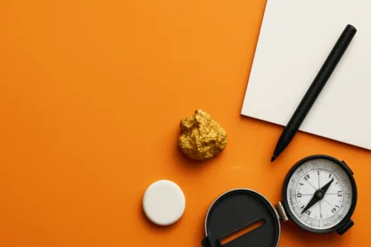 Previous Article Image